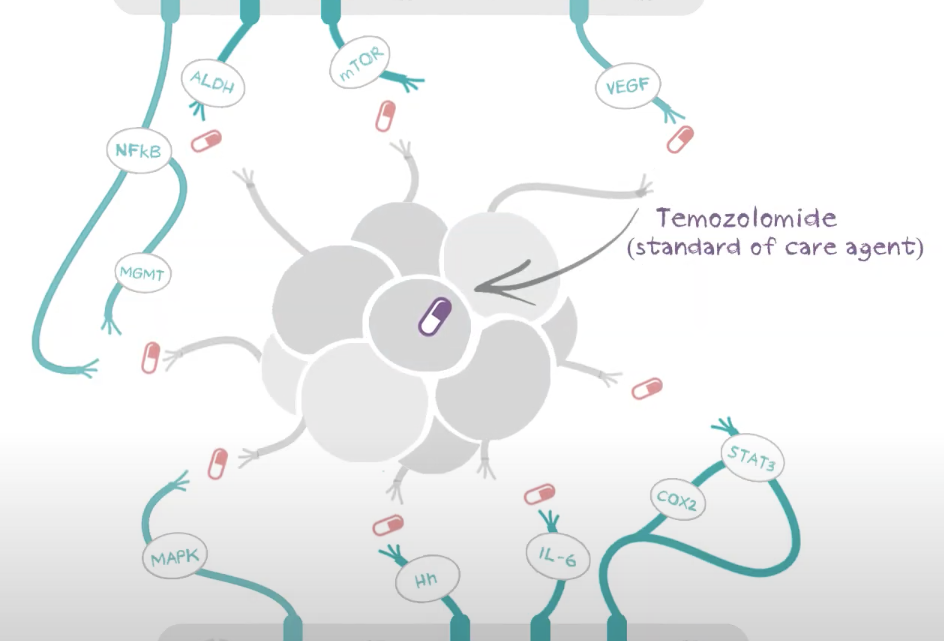 La Sperimentazione Clinica CUSP9v3 per combattere il glioblastoma